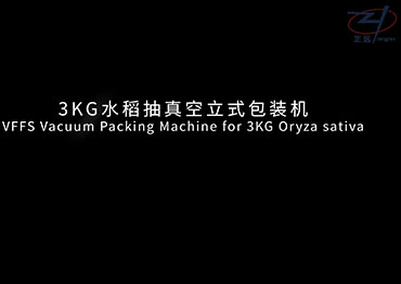  VFFS7300B Vaccum упаковочная машина для 3 кг рис