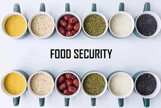 продовольственная безопасность  Зенгран упаковка способствует реализации проектов по производству высококачественного зерна интеллектуальное производство